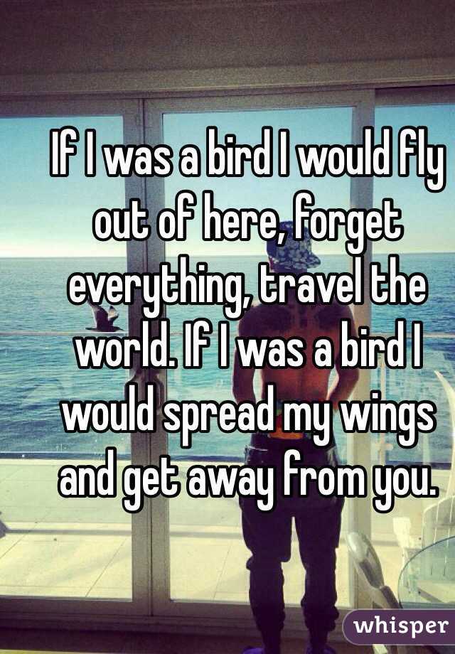 If I was a bird I would fly out of here, forget everything, travel the world. If I was a bird I would spread my wings and get away from you.