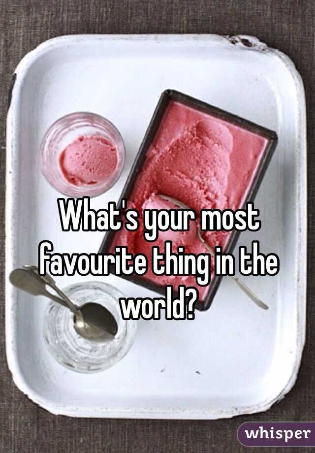 What's your most favourite thing in the world? 
