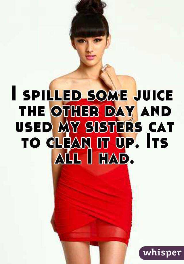 I spilled some juice the other day and used my sisters cat to clean it up. Its all I had.