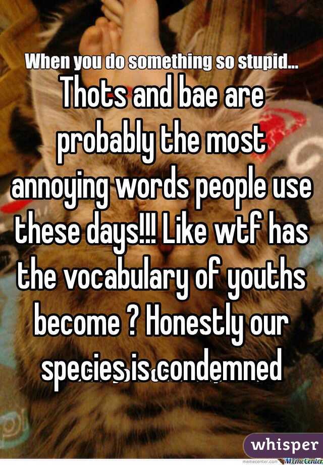 Thots and bae are probably the most annoying words people use these days!!! Like wtf has the vocabulary of youths become ? Honestly our species is condemned 