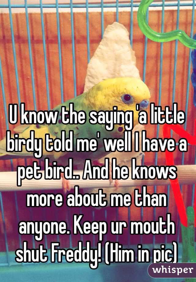 U know the saying 'a little birdy told me' well I have a pet bird.. And he knows more about me than anyone. Keep ur mouth shut Freddy! (Him in pic)