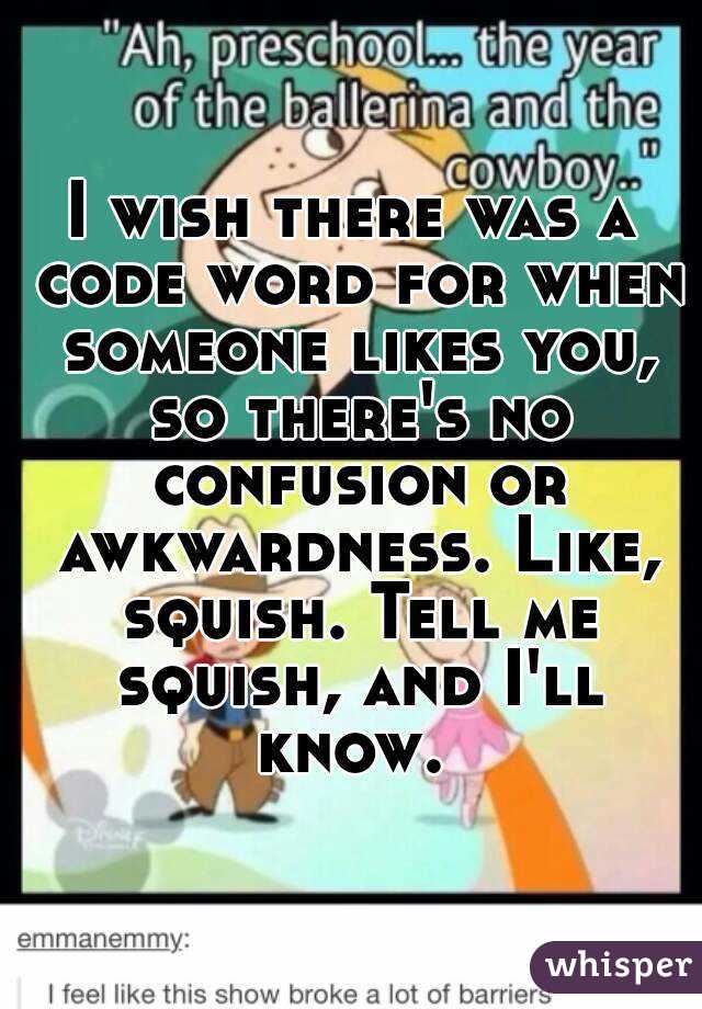 I wish there was a code word for when someone likes you, so there's no confusion or awkwardness. Like, squish. Tell me squish, and I'll know. 
