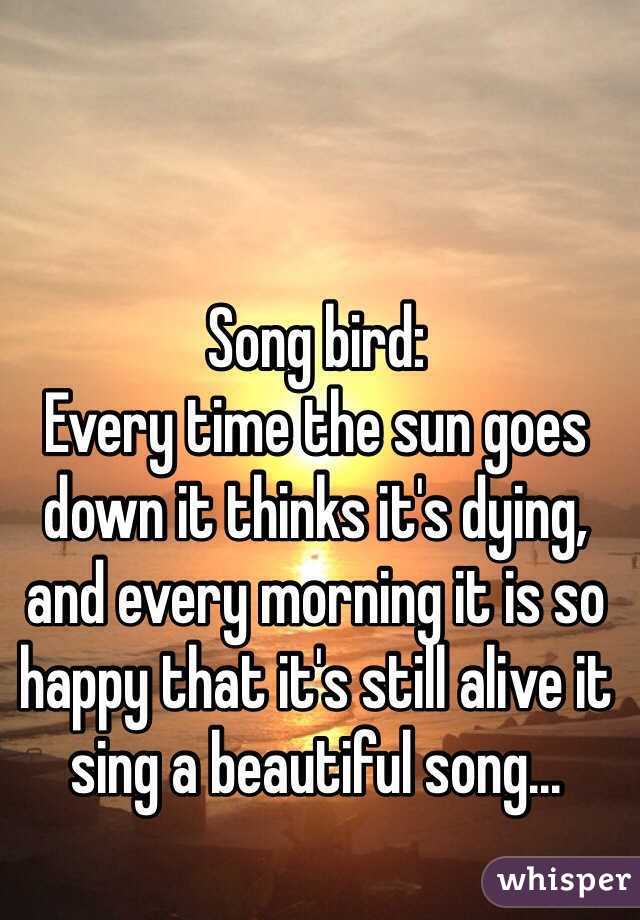 Song bird:
Every time the sun goes down it thinks it's dying, and every morning it is so happy that it's still alive it sing a beautiful song... 