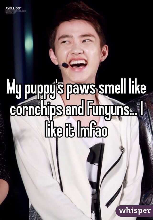My puppy's paws smell like cornchips and Funyuns... I like it lmfao