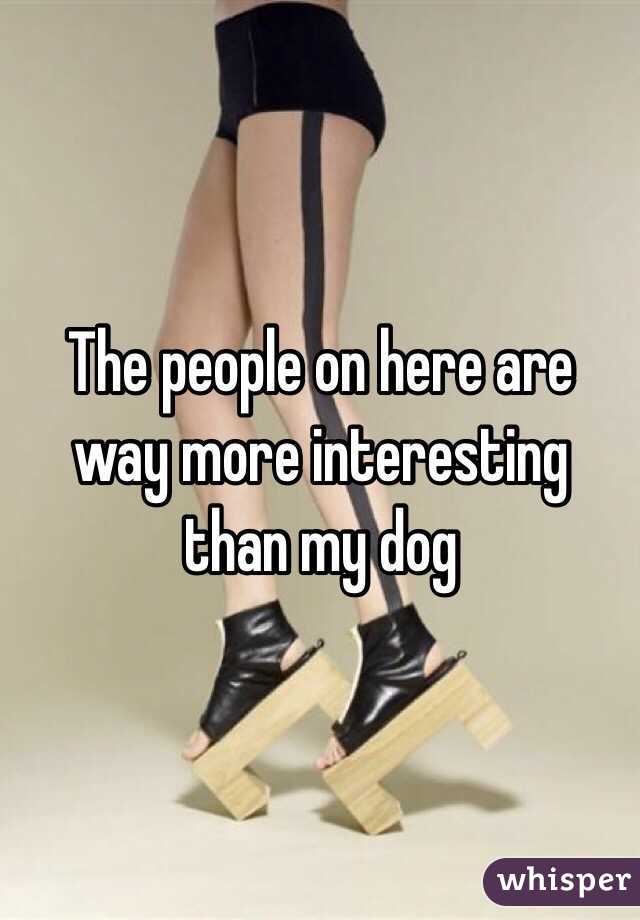 The people on here are way more interesting than my dog