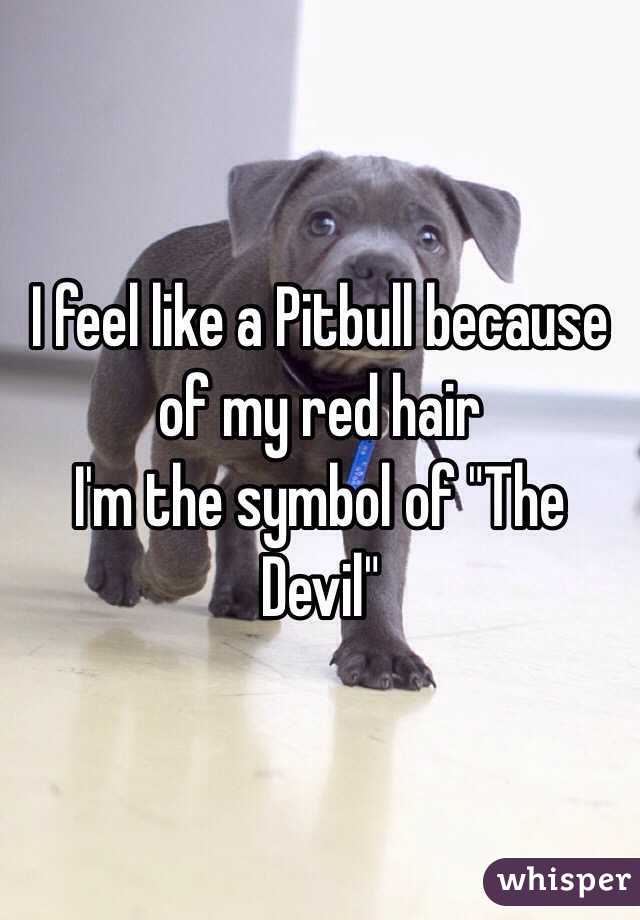 I feel like a Pitbull because of my red hair
I'm the symbol of "The Devil"