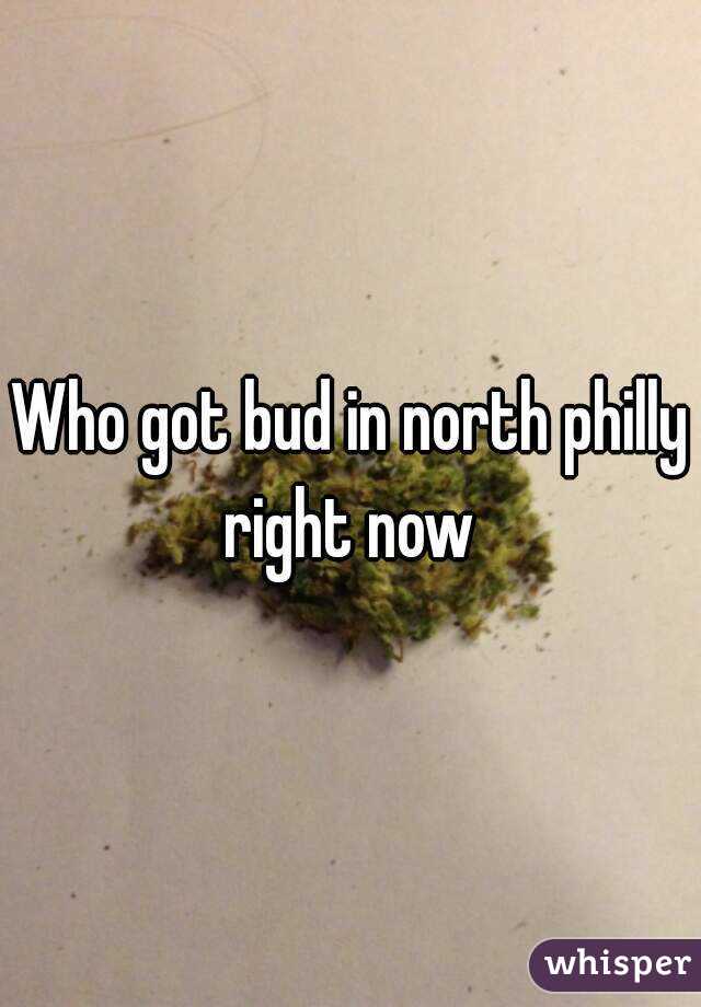 Who got bud in north philly right now 
