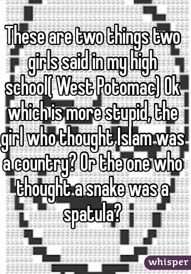 These are two things two girls said in my high school( West Potomac) Ok which is more stupid, the girl who thought Islam was a country? Or the one who thought a snake was a spatula?
