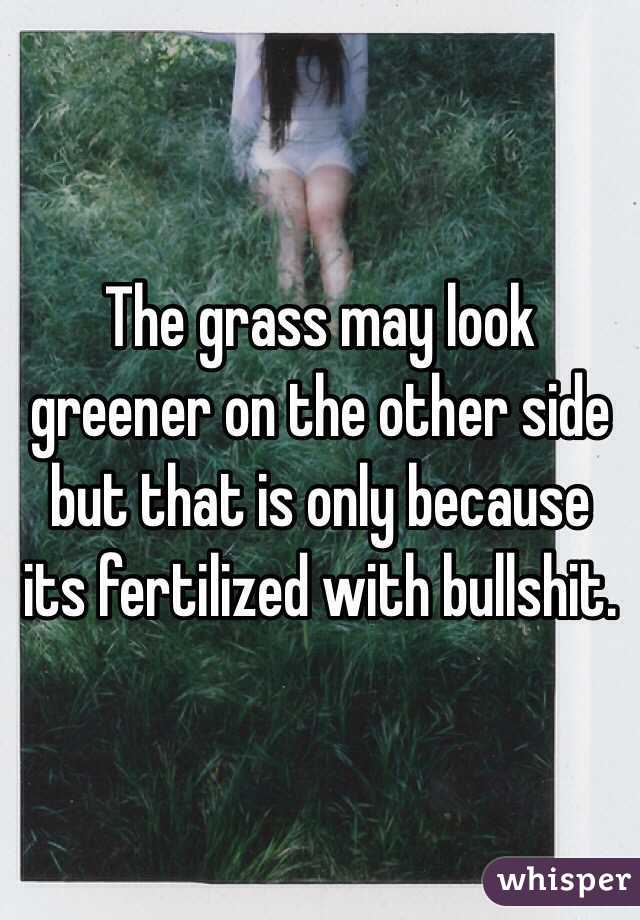 The grass may look greener on the other side but that is only because its fertilized with bullshit. 