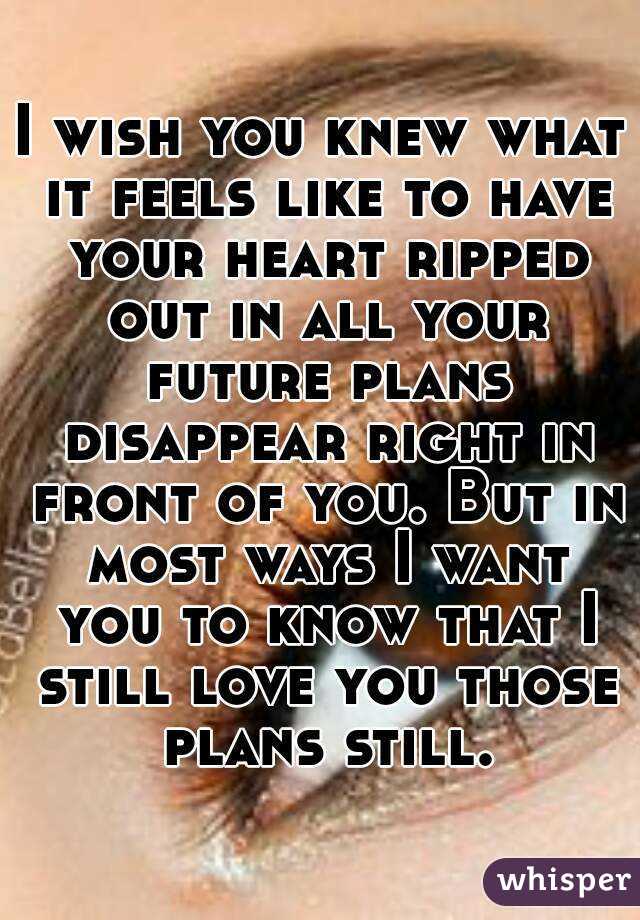 I wish you knew what it feels like to have your heart ripped out in all your future plans disappear right in front of you. But in most ways I want you to know that I still love you those plans still.