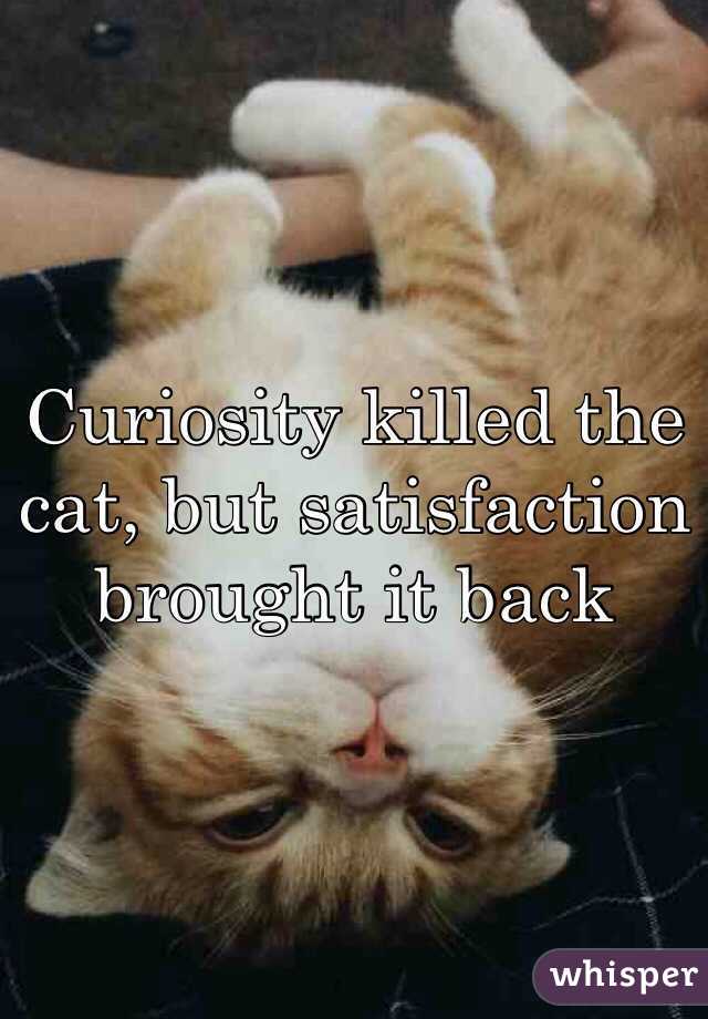 Curiosity killed the cat, but satisfaction brought it back