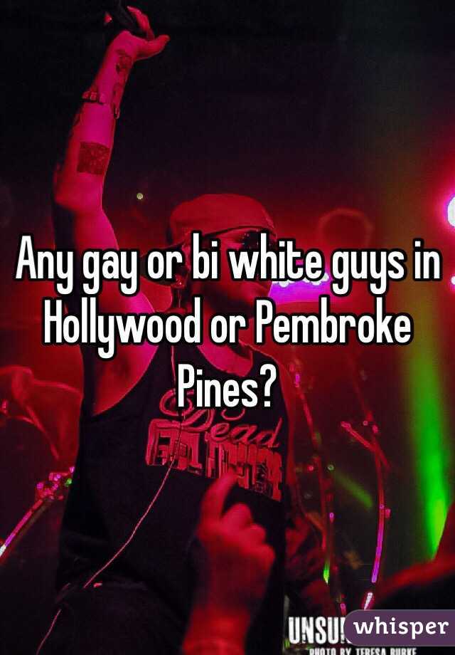 Any gay or bi white guys in Hollywood or Pembroke Pines? 