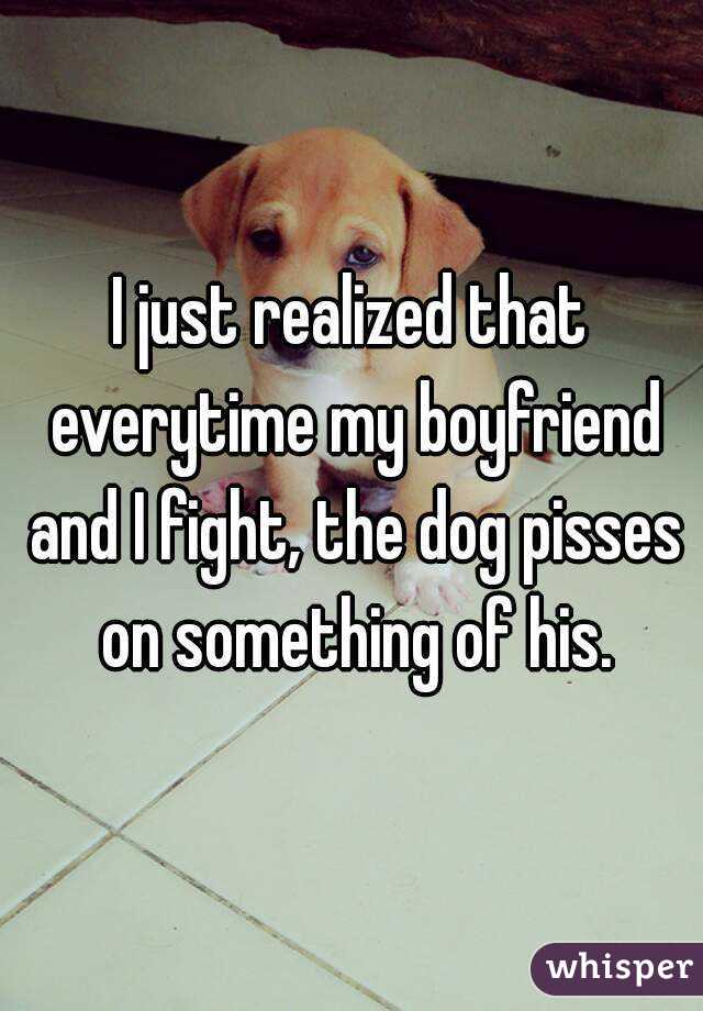 I just realized that everytime my boyfriend and I fight, the dog pisses on something of his.