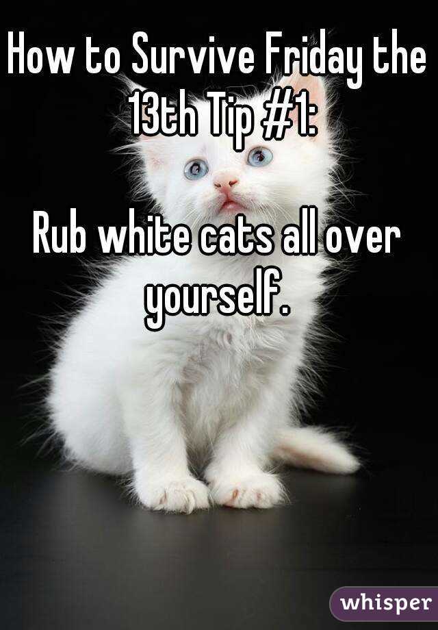 How to Survive Friday the 13th Tip #1:

Rub white cats all over yourself. 