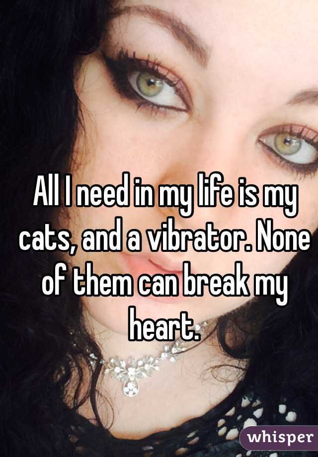 All I need in my life is my cats, and a vibrator. None of them can break my heart. 