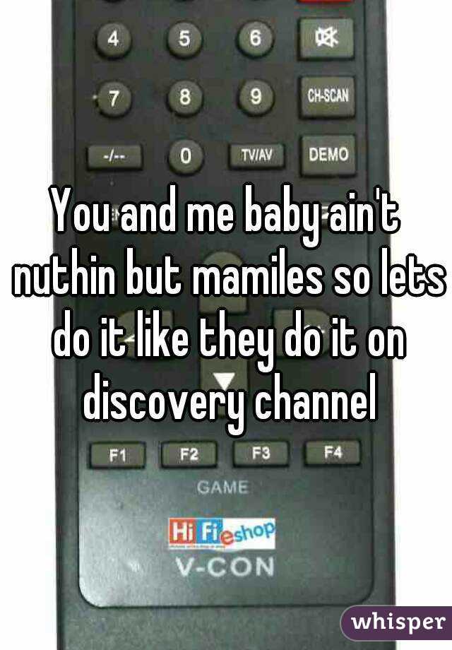 You and me baby ain't nuthin but mamiles so lets do it like they do it on discovery channel