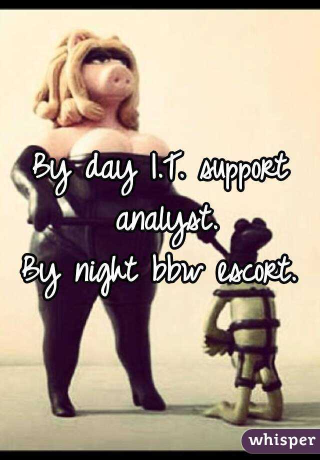 By day I.T. support analyst.
By night bbw escort.
