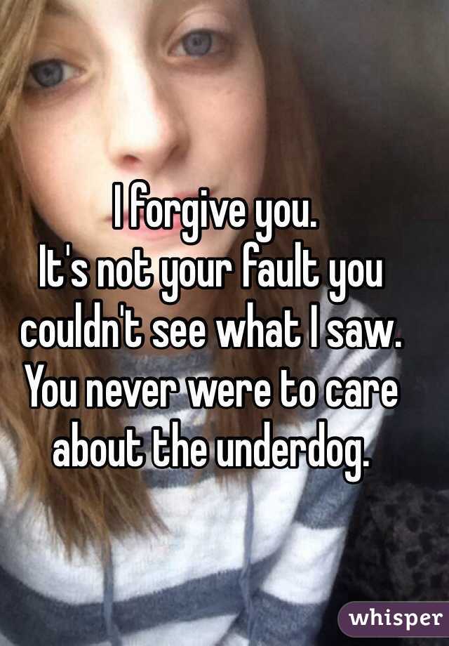  I forgive you.
It's not your fault you couldn't see what I saw.
You never were to care about the underdog.