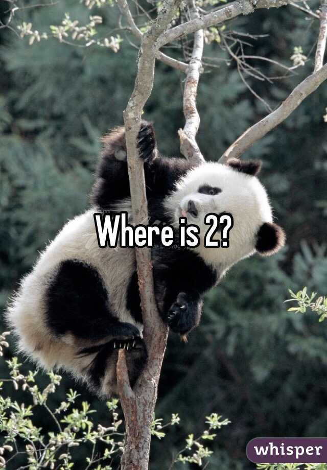 Where is 2?