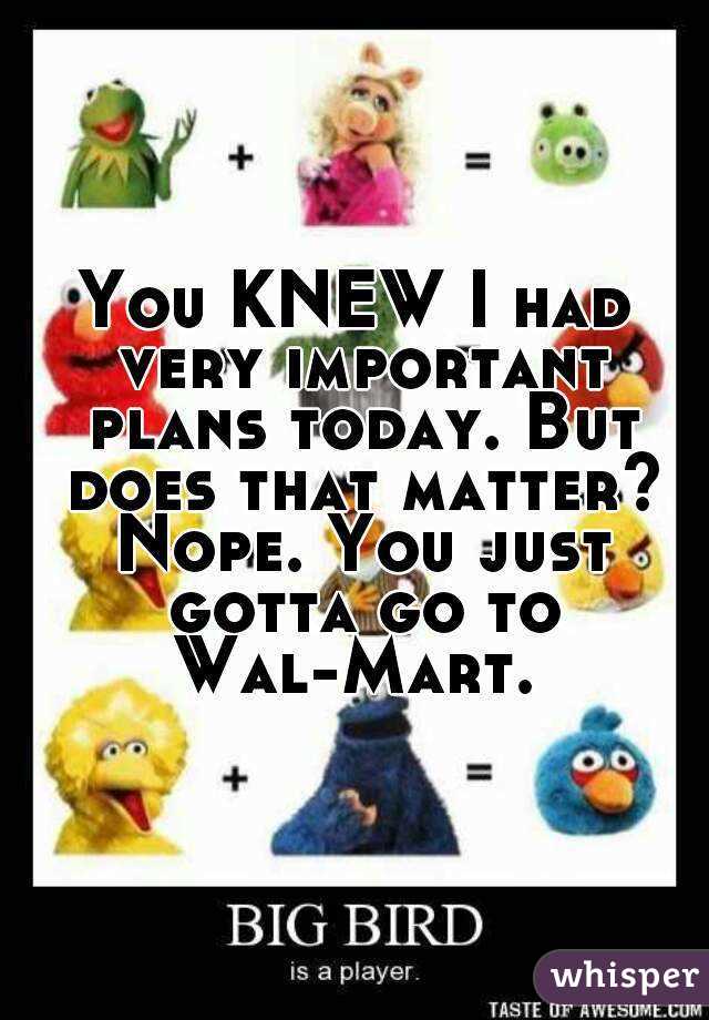 You KNEW I had very important plans today. But does that matter? Nope. You just gotta go to Wal-Mart. 