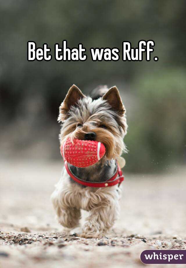 Bet that was Ruff.