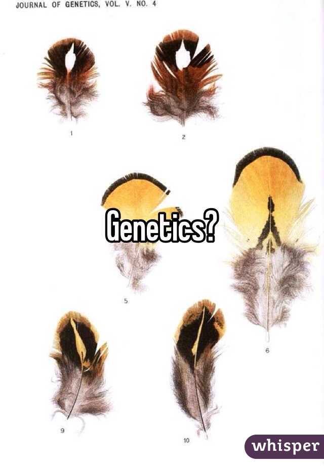 Genetics?