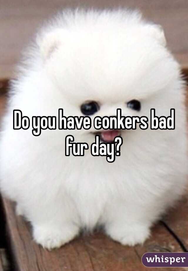 Do you have conkers bad fur day? 