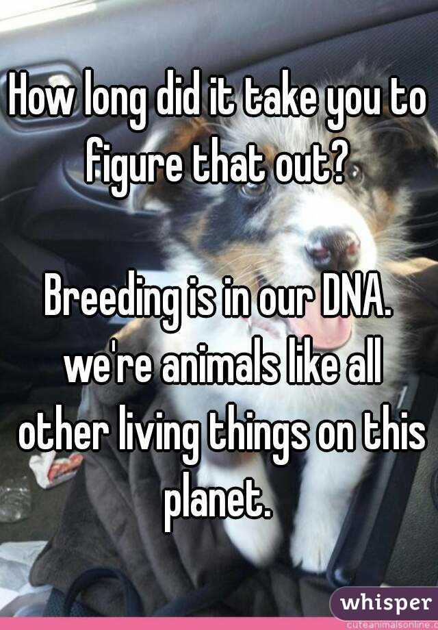 How long did it take you to figure that out? 

Breeding is in our DNA. we're animals like all other living things on this planet. 