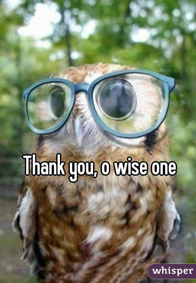 Thank you, o wise one