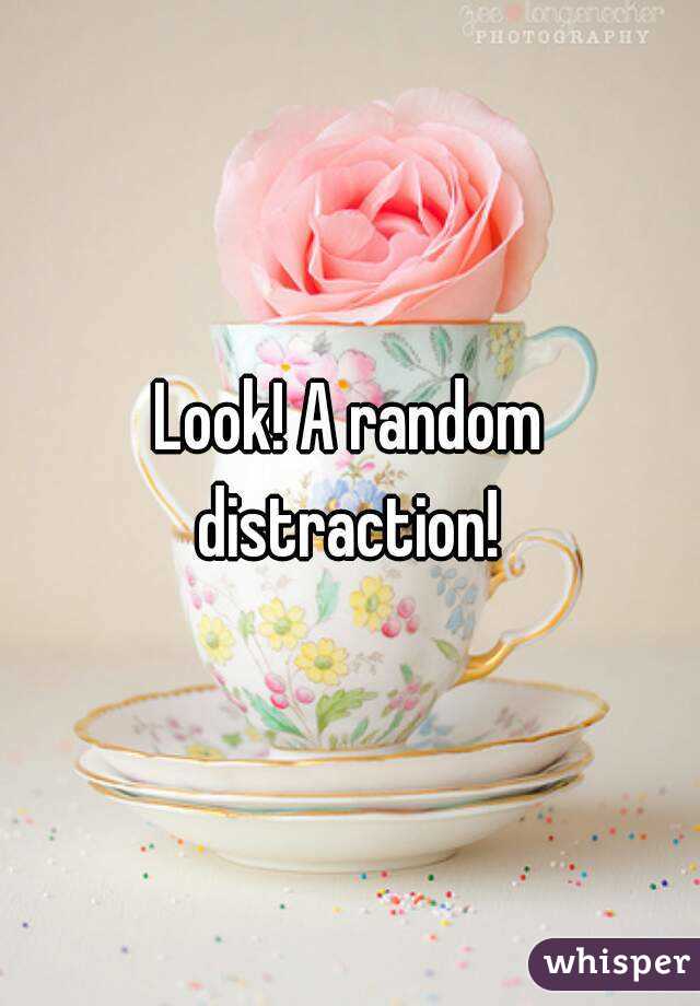 Look! A random distraction! 