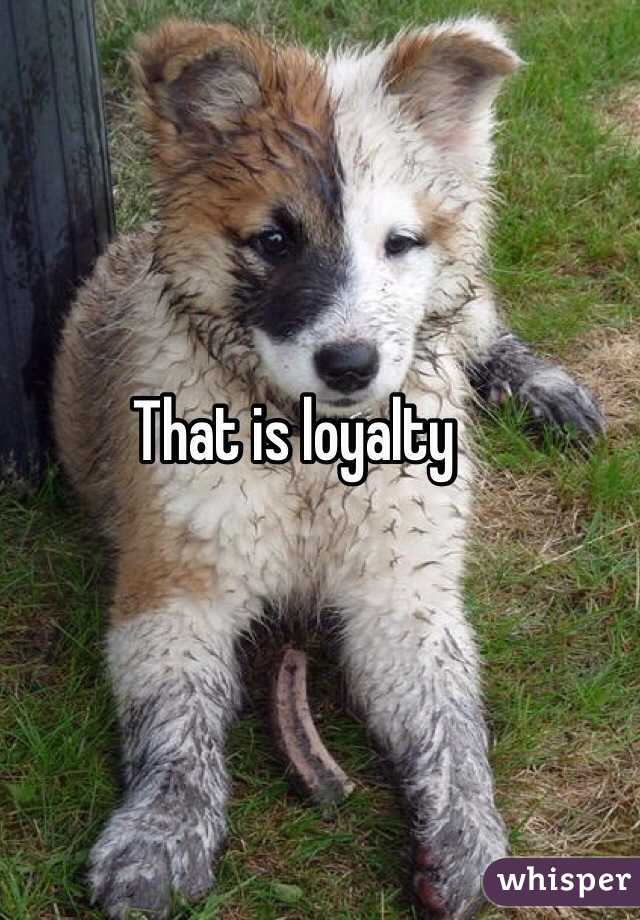 That is loyalty 
