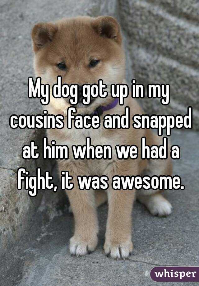 My dog got up in my cousins face and snapped at him when we had a fight, it was awesome.