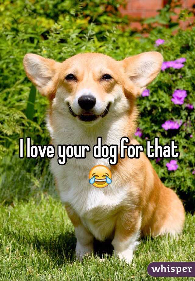 I love your dog for that 😂