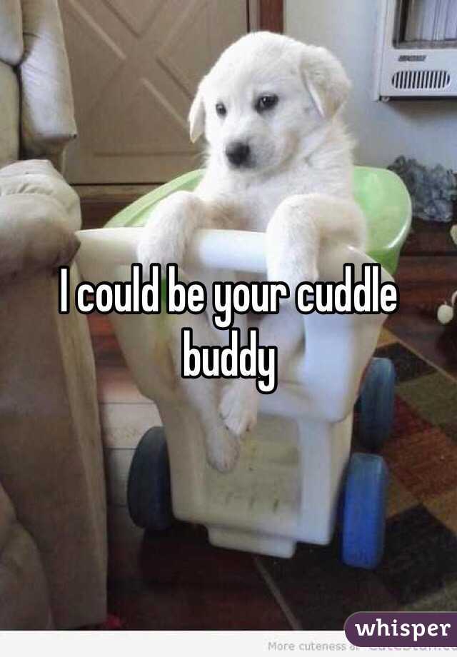 I could be your cuddle buddy