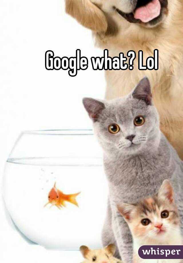 Google what? Lol