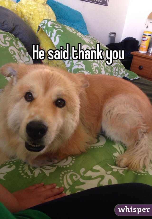 He said thank you 