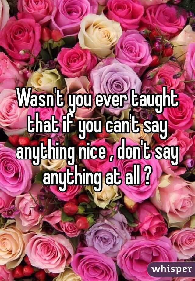 Wasn't you ever taught that if you can't say anything nice , don't say anything at all ? 