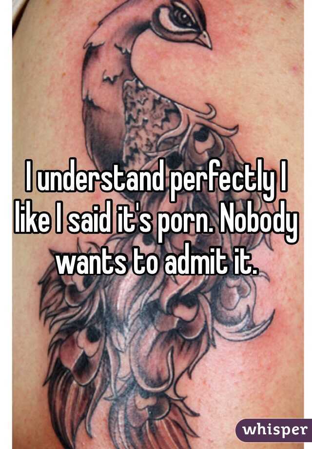 I understand perfectly I like I said it's porn. Nobody wants to admit it. 