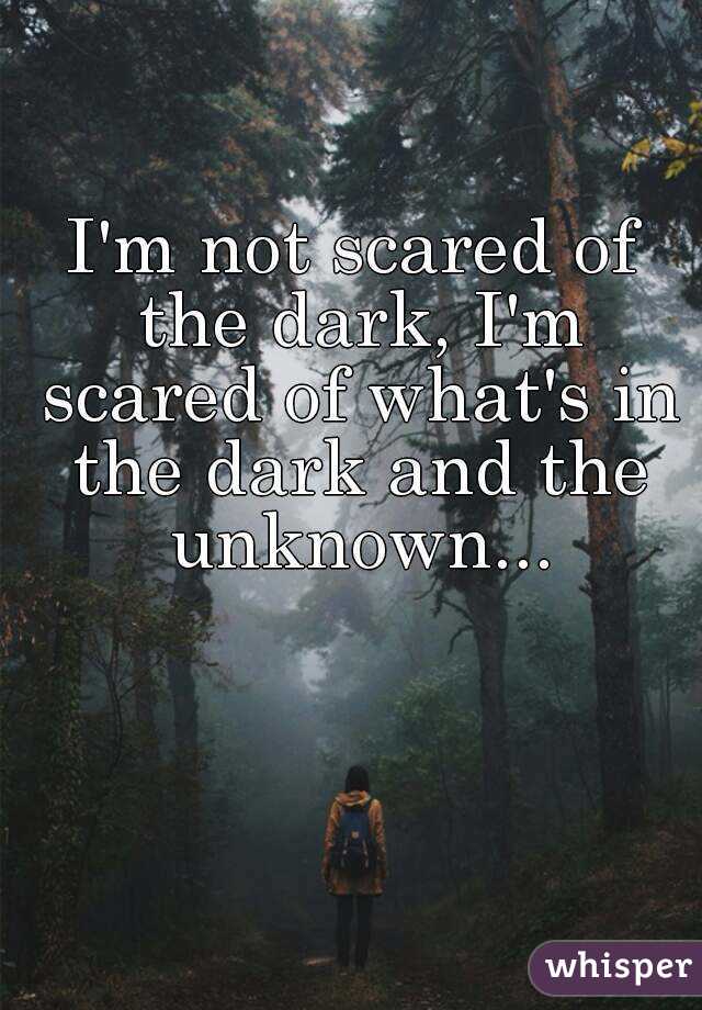 I'm not scared of the dark, I'm scared of what's in the dark and the unknown...