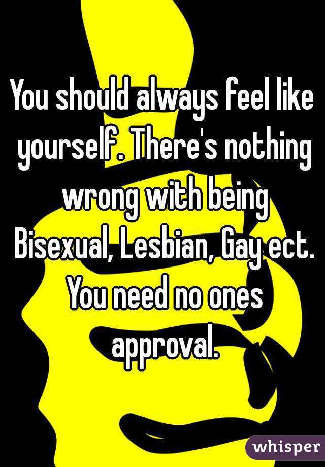 You should always feel like yourself. There's nothing wrong with being Bisexual, Lesbian, Gay ect. You need no ones approval.