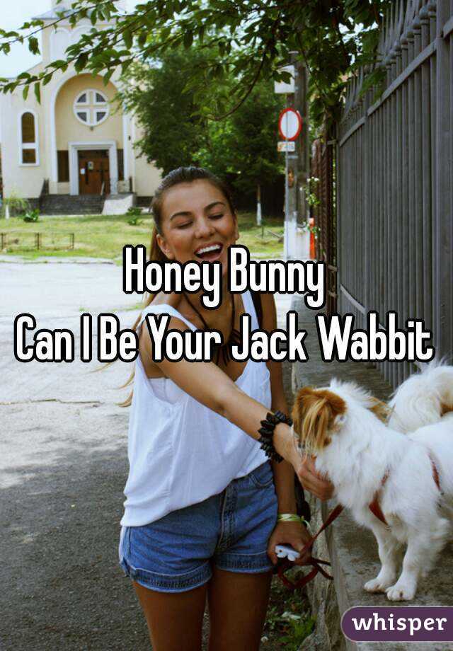 Honey Bunny
Can I Be Your Jack Wabbit