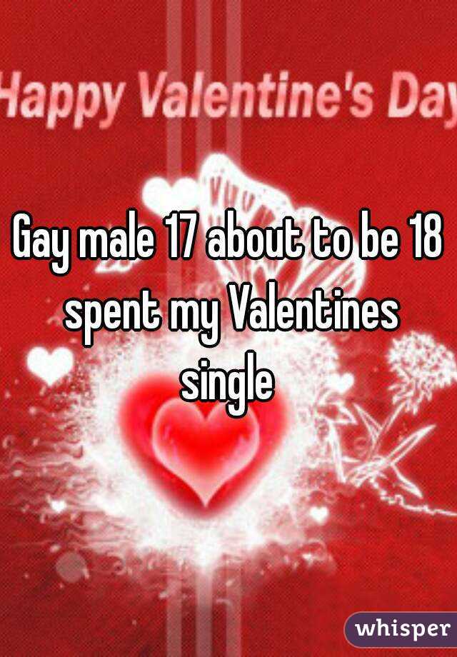 Gay male 17 about to be 18 spent my Valentines single 