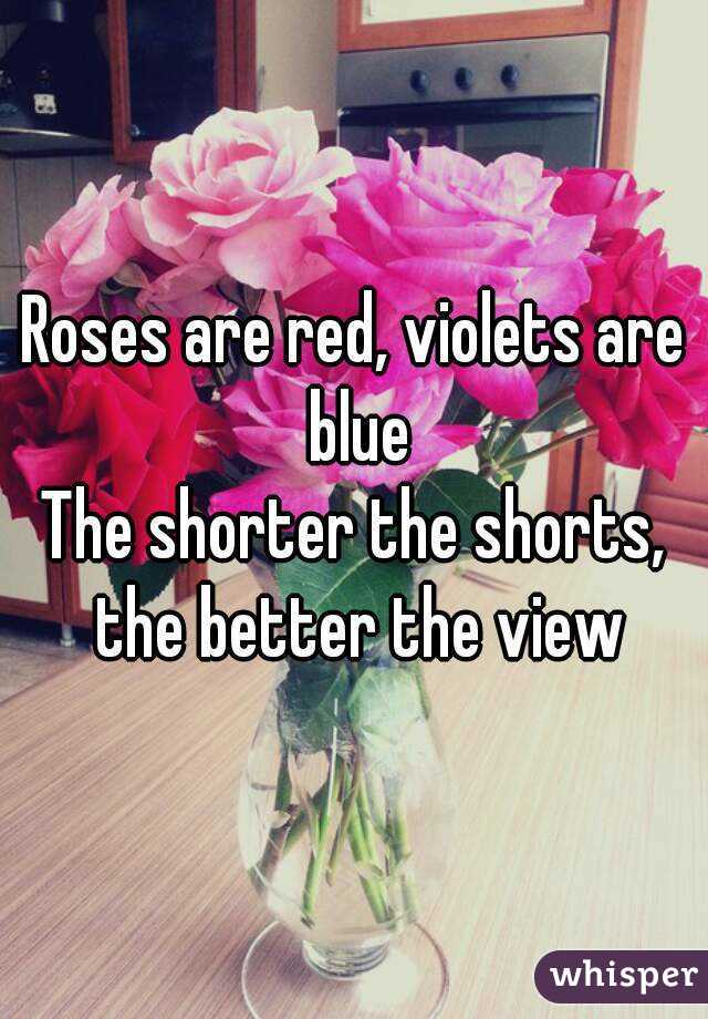 Roses are red, violets are blue
The shorter the shorts, the better the view
