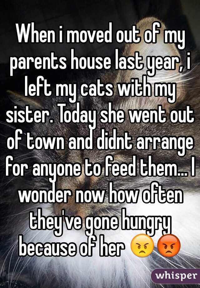 When i moved out of my parents house last year, i left my cats with my sister. Today she went out of town and didnt arrange for anyone to feed them... I wonder now how often they've gone hungry because of her 😠😡