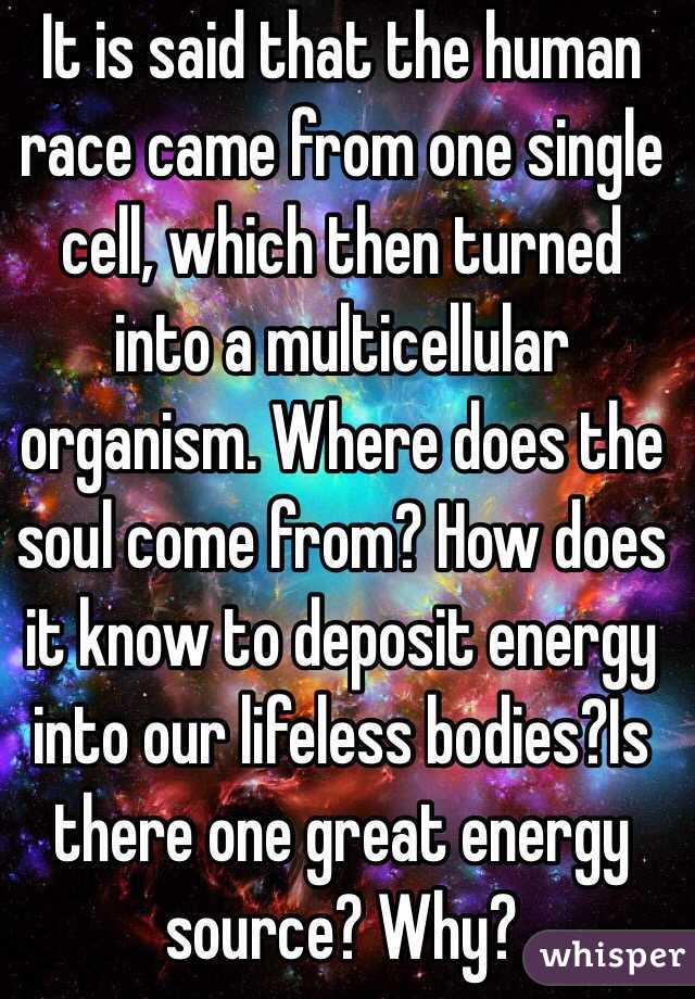 It is said that the human race came from one single cell, which then turned into a multicellular organism. Where does the soul come from? How does it know to deposit energy into our lifeless bodies?Is there one great energy source? Why?