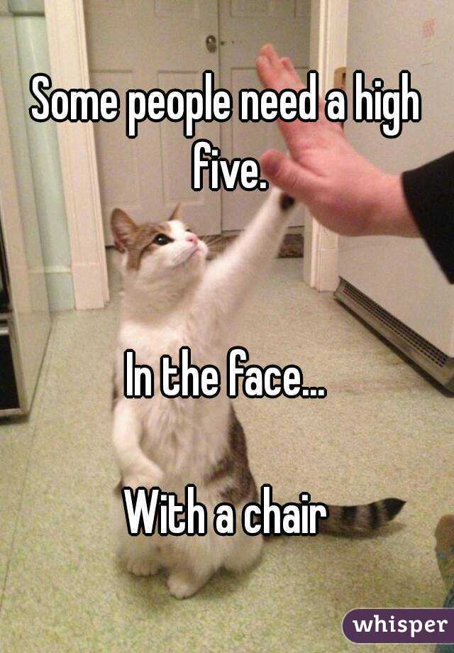 Some people need a high five.


In the face...

With a chair