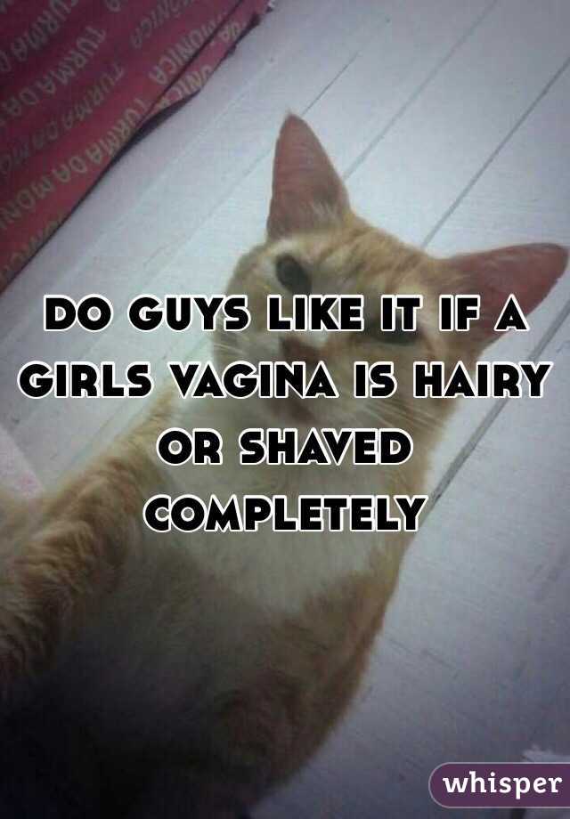 do guys like it if a girls vagina is hairy or shaved completely 