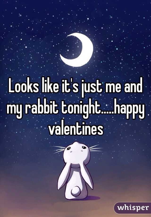 Looks like it's just me and my rabbit tonight.....happy valentines   