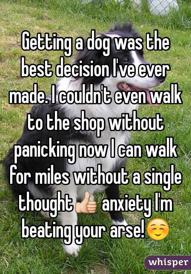 Getting a dog was the best decision I've ever made. I couldn't even walk to the shop without panicking now I can walk for miles without a single thought anxiety I'm beating your arse!☺️
