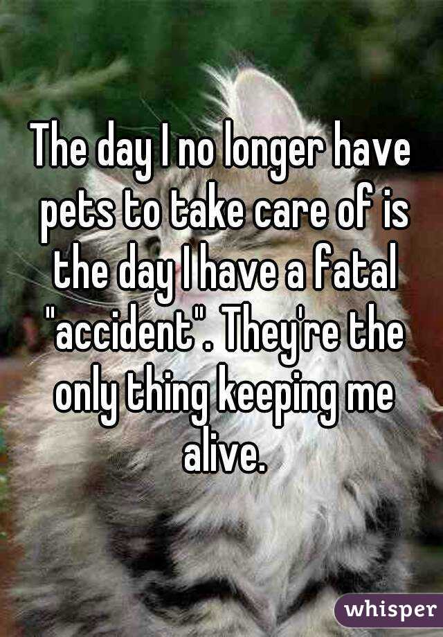 The day I no longer have pets to take care of is the day I have a fatal "accident". They're the only thing keeping me alive.